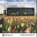 Datapulse en Storagedata bundelen de krachten